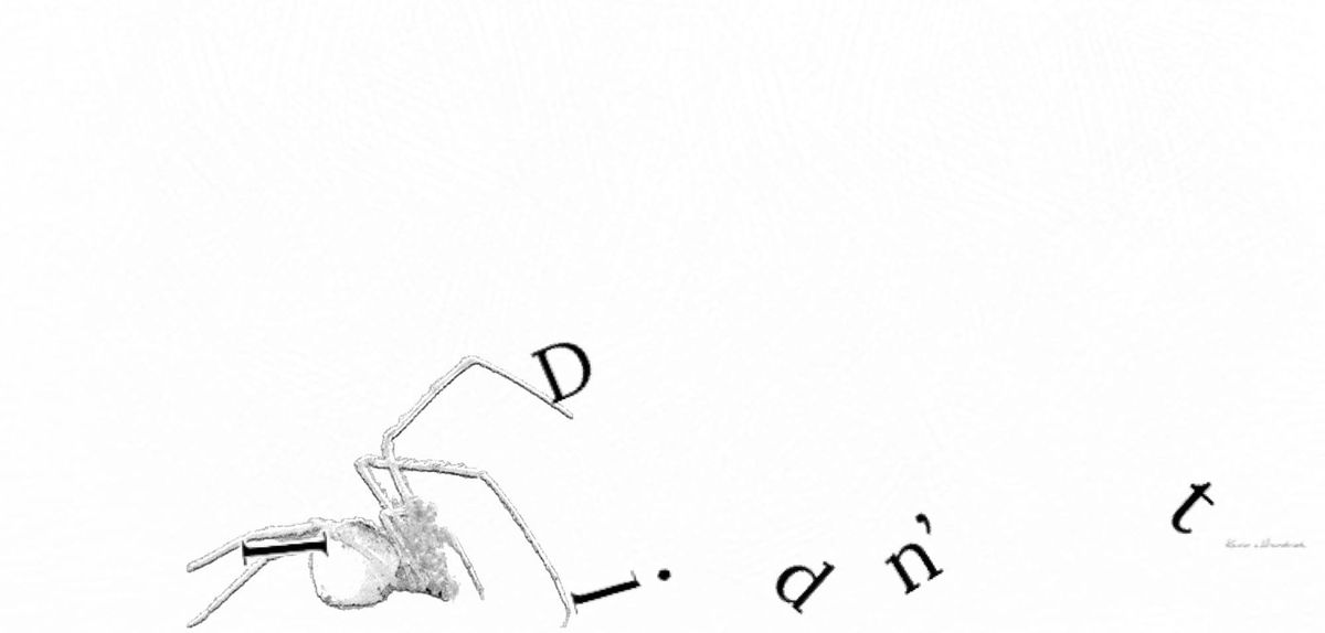 Rural Reflections: 'I Didn't'