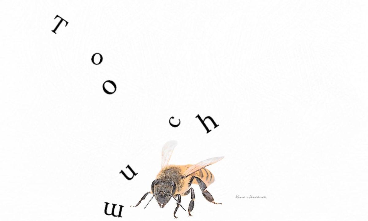 Rural Reflections: 'Too Much'