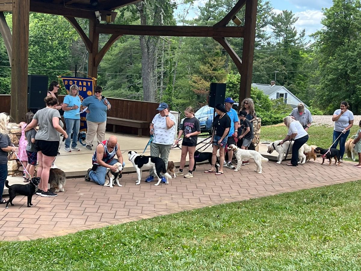 Rotary to host seventh annual Dog Show in downtown Floyd