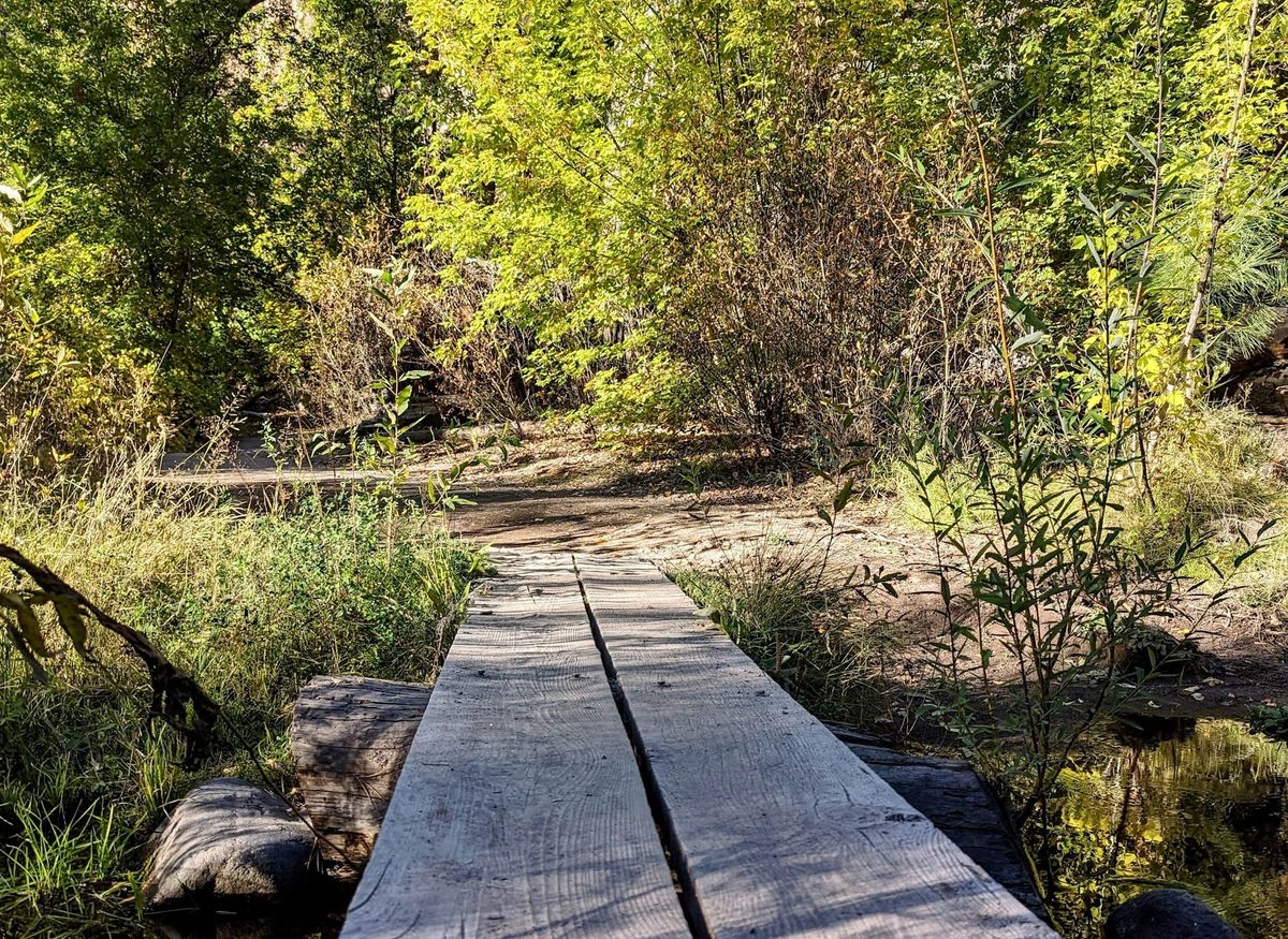 The Wisdom of One Place, Understood