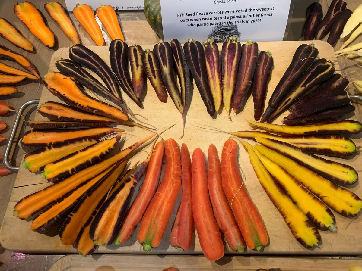 Seed Peace connects local farmers with mental health, medical care