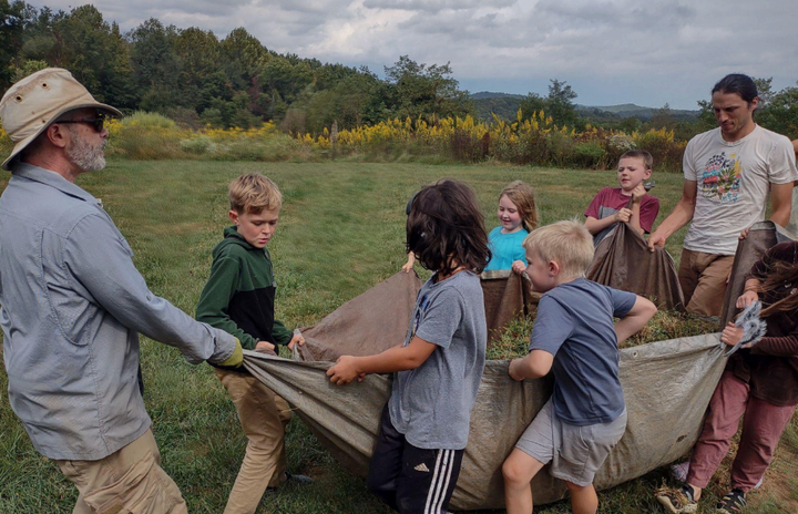 Curriculum Corner: 'Amber Autumn'