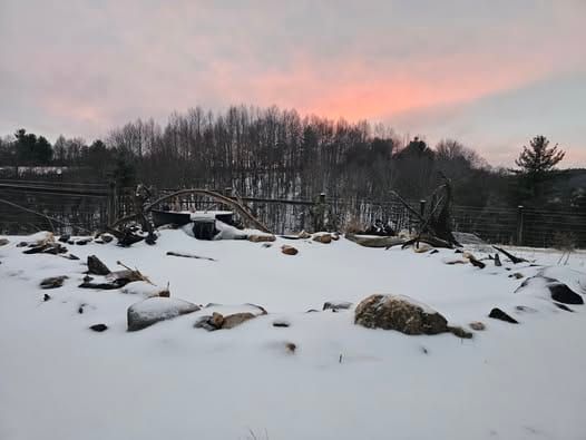 PHOTOS: Winter Weather — Jan. 24-25, 2026