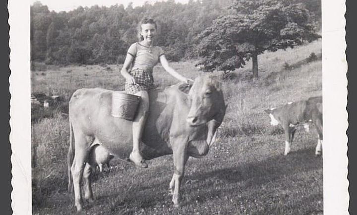 Backstories and Backyards: Buttermilk, Biscuits, and Butter