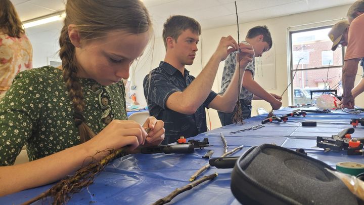 Grafting Apple Trees with the Cooperative Extension