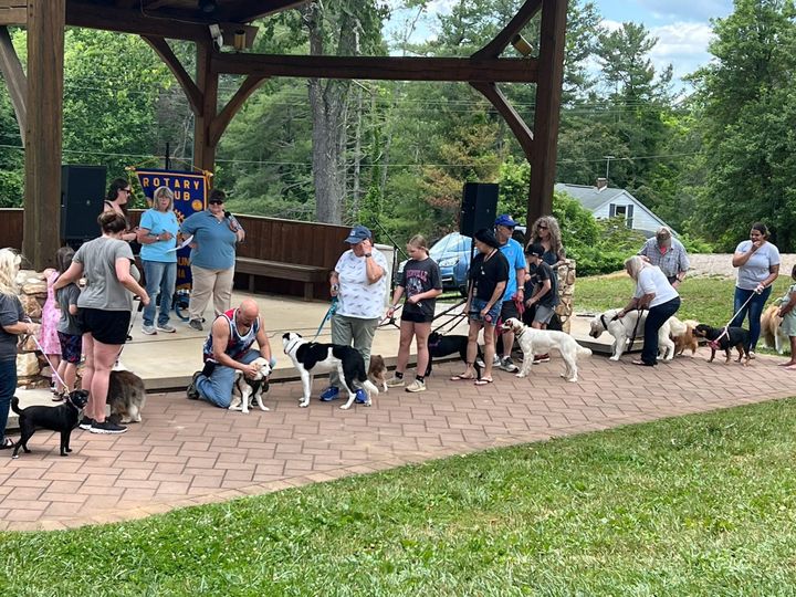 Rotary to host seventh annual Dog Show in downtown Floyd