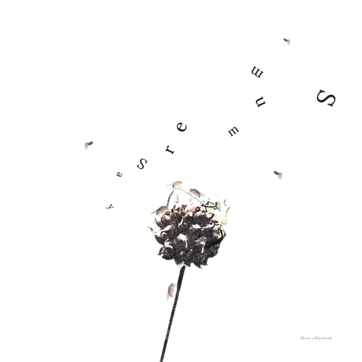 Rural Reflections: 'Summer (say)'