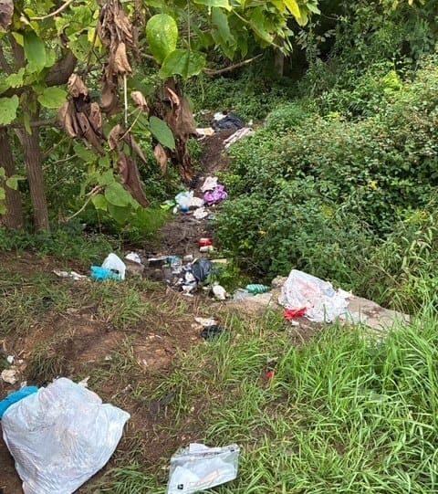 Alum Ridge green boxes to be removed