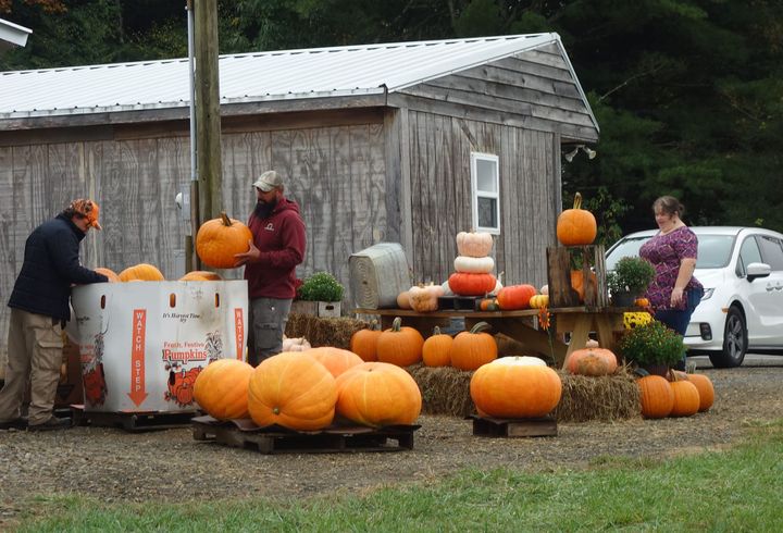 Fall festivities in full swing at Turner Family Farms