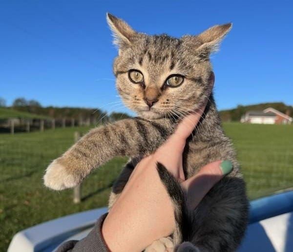 Pet of the Week