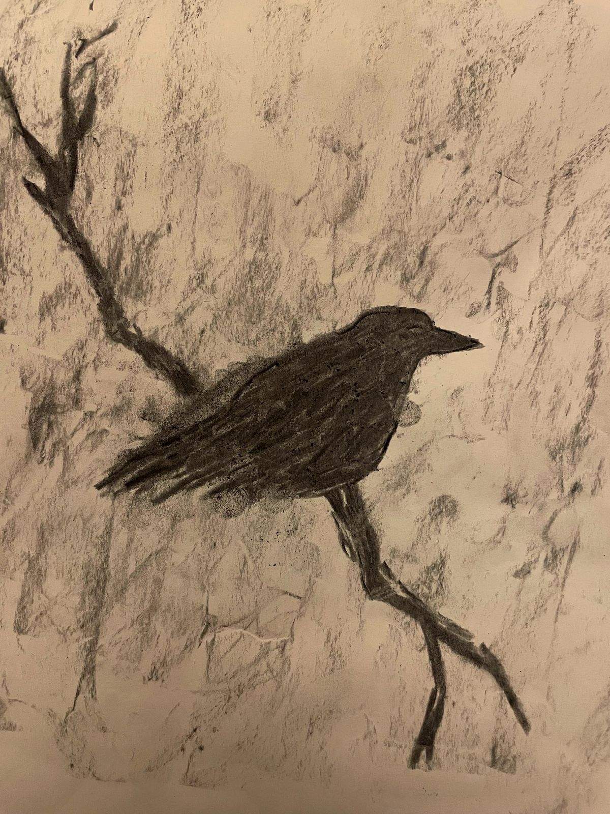 Crow girl