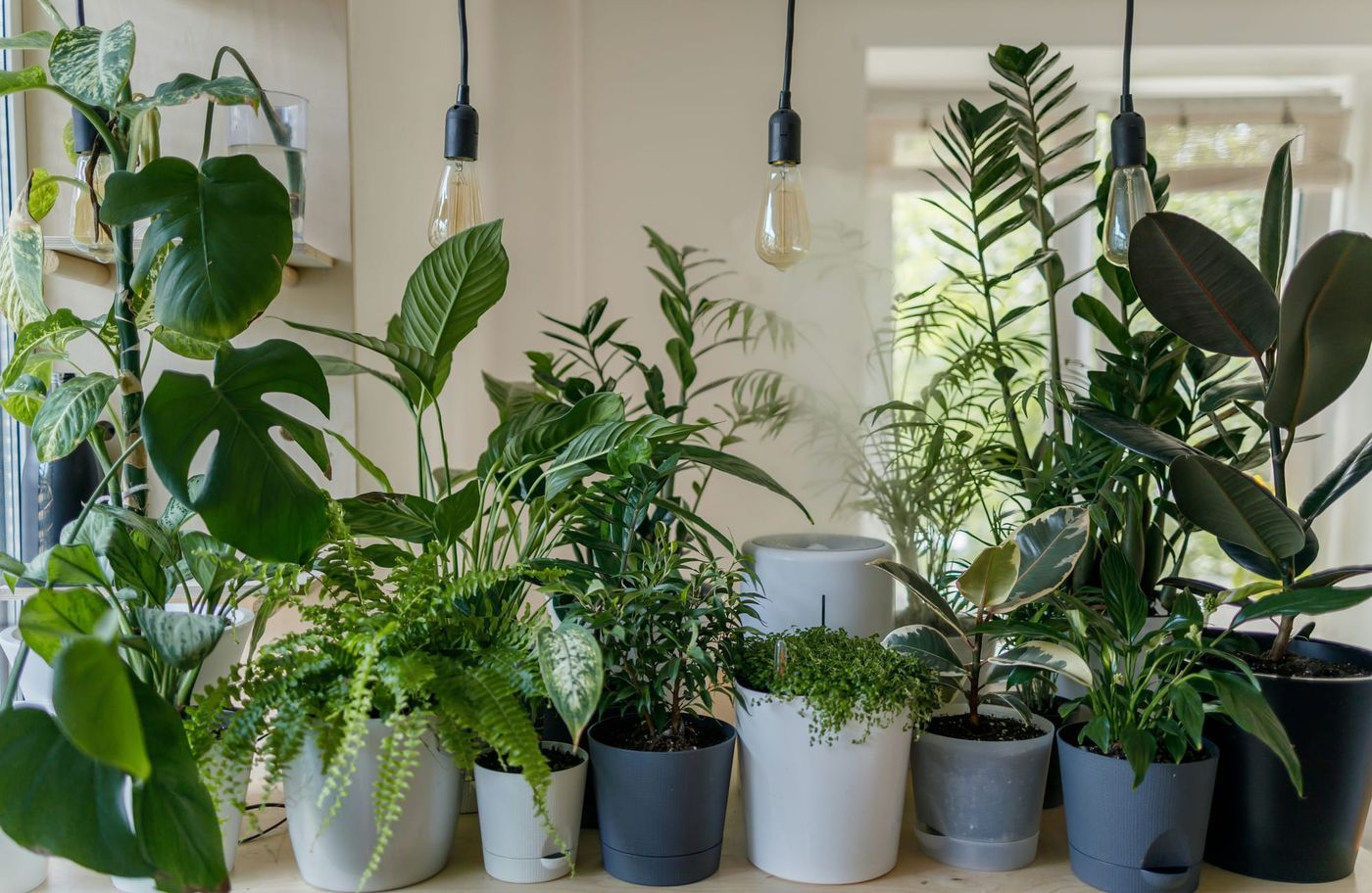 The best gear to help improve your gardening skills