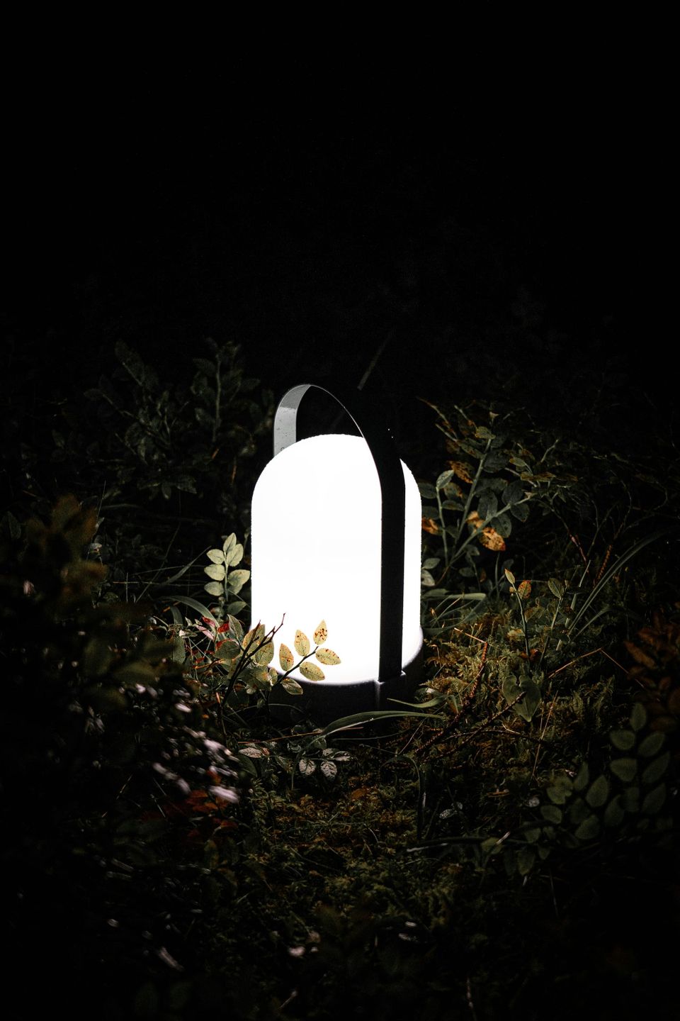 After 3 months of testing these portable lights our editors picked their favorites