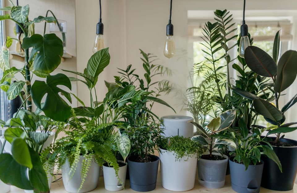 The best gear to help improve your gardening skills