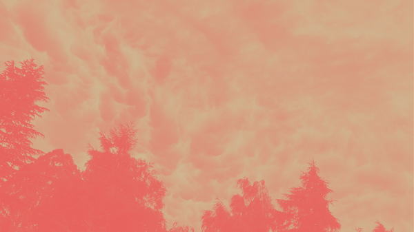 It could be the mood talking