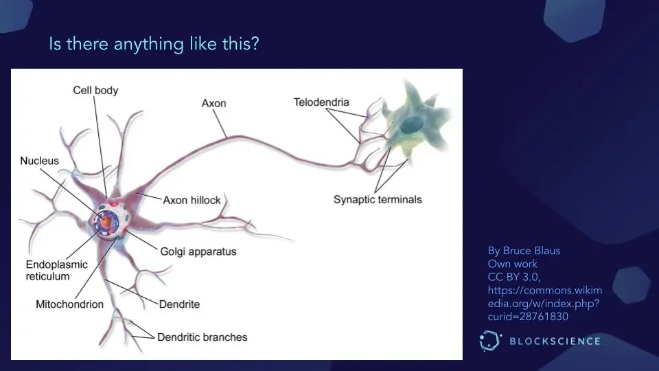 Tech Research Pod Presentation Slide_ Multipolar Neuron Image by Bruce Blaus_What is Knowledge Organization Infrastucture _David Sission.pptx