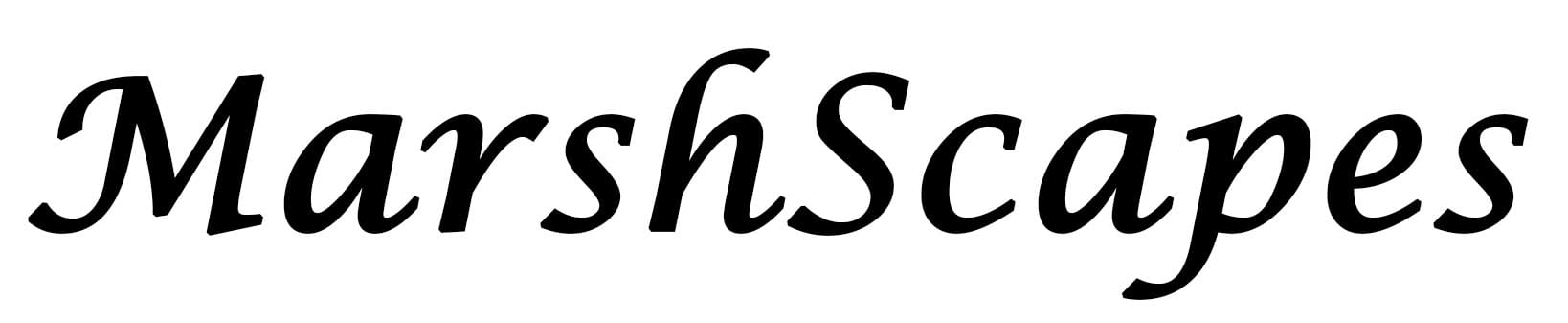 MarshScapes