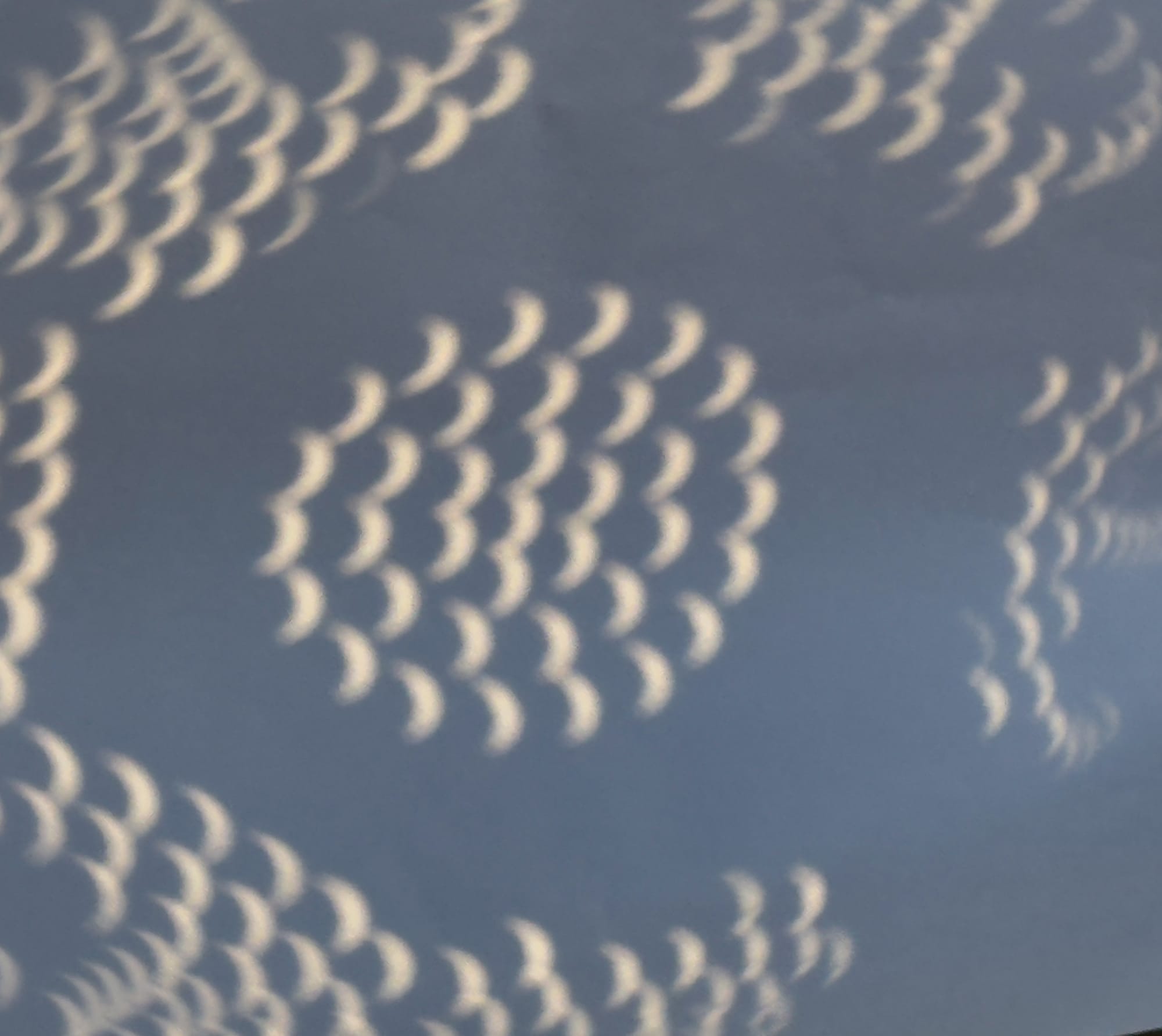 a photo of sun crescents in circular groups reflected on white paper.