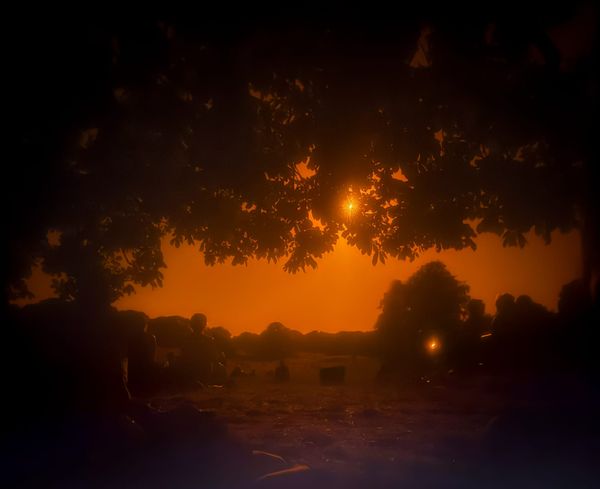 The heath is bathed in orange light from the filter; people on the grass, sun coming through the leaves
