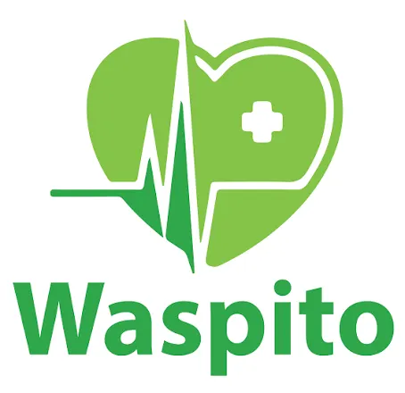 Waspito Is Winning Abroad. But Do Cameroonians Know What It Can Do?