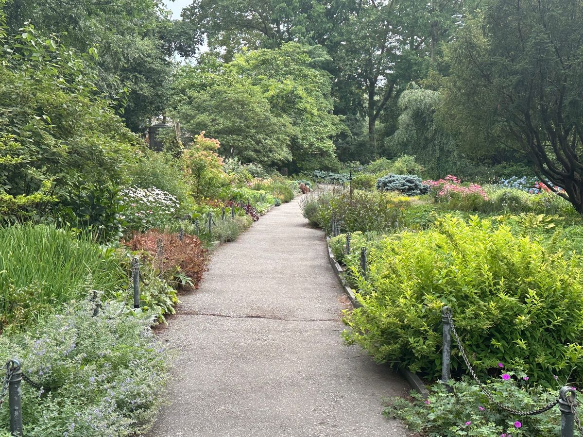Conservancy Revamp