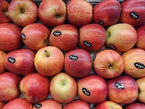 Grocery Bills: Why So High?