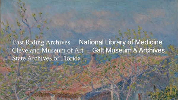 Meet the 5 new Institutions on Unsplash