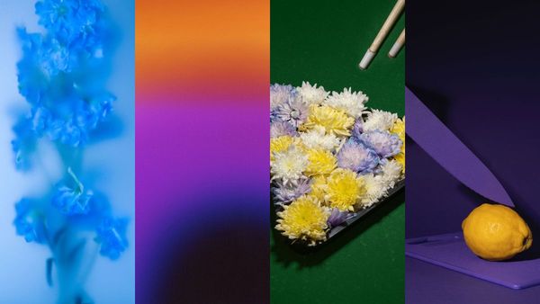 Meet the 4 Unsplash+ Student Grant Recipients