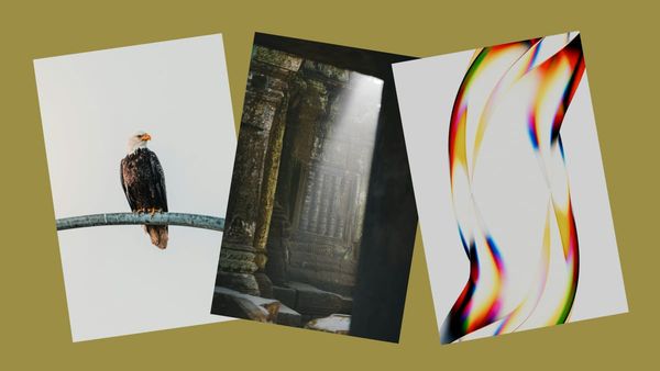 Top 20 Images on Unsplash from February 2026