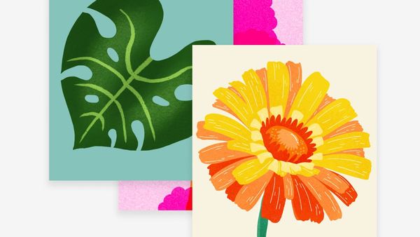 Illustration Contest: Drawn from Nature