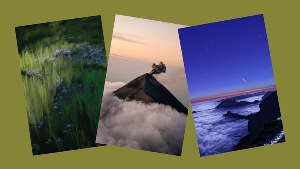 Top 20 Images on Unsplash from April 2026