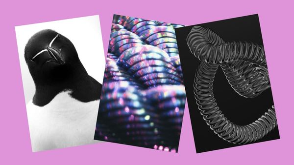 Top 20 Images on Unsplash from May 2026
