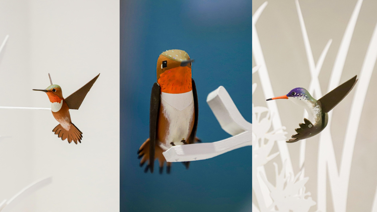 secretaria cultura colibri