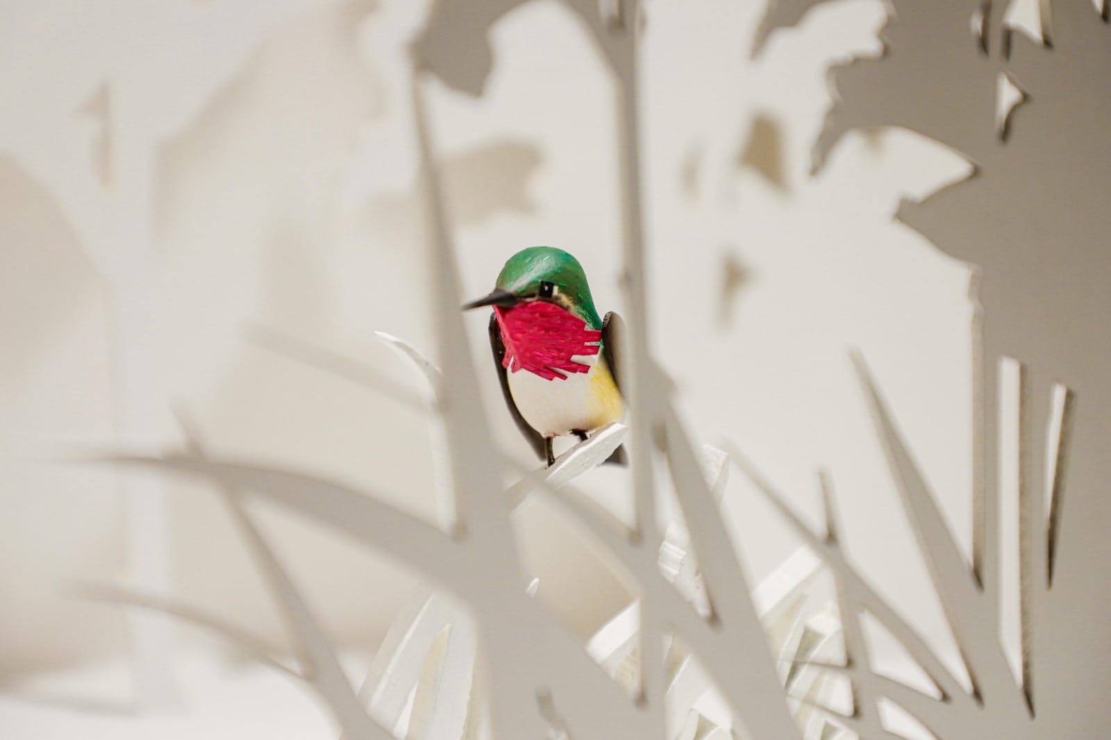 homenaje colibrí morelense