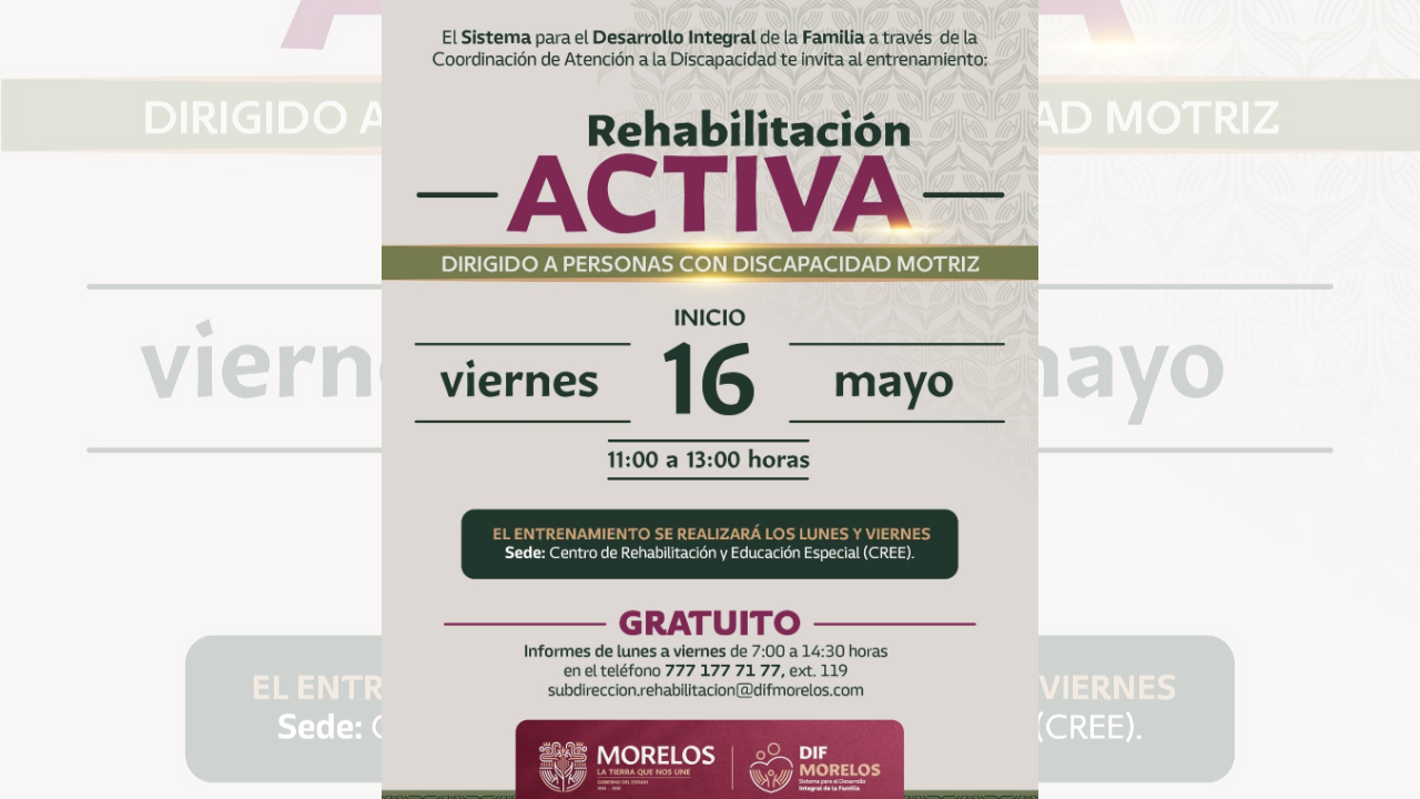 sedif rehabilitacion activa