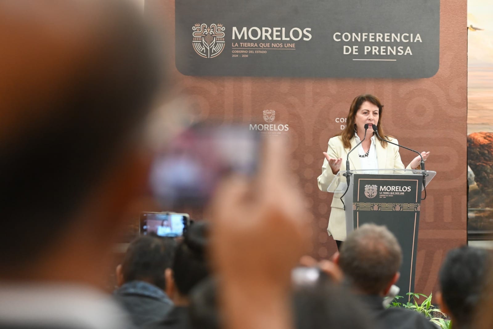 placas canje morelos