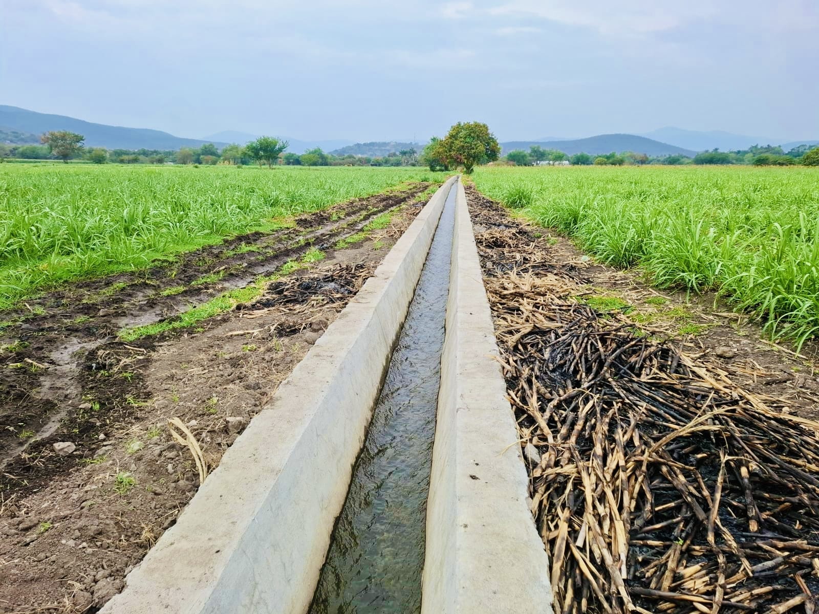 tecnificacion riego morelos