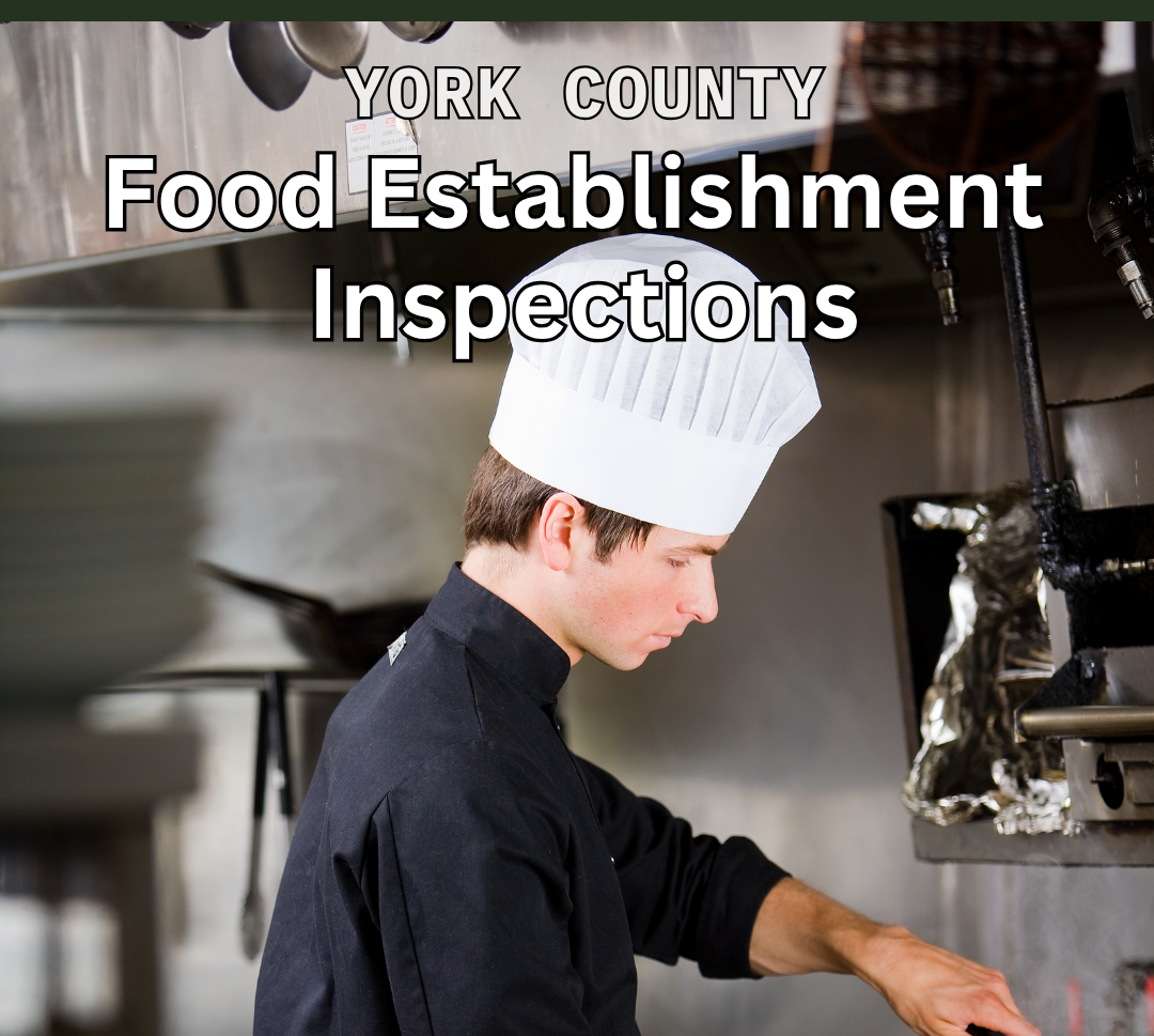 York County Food Grades