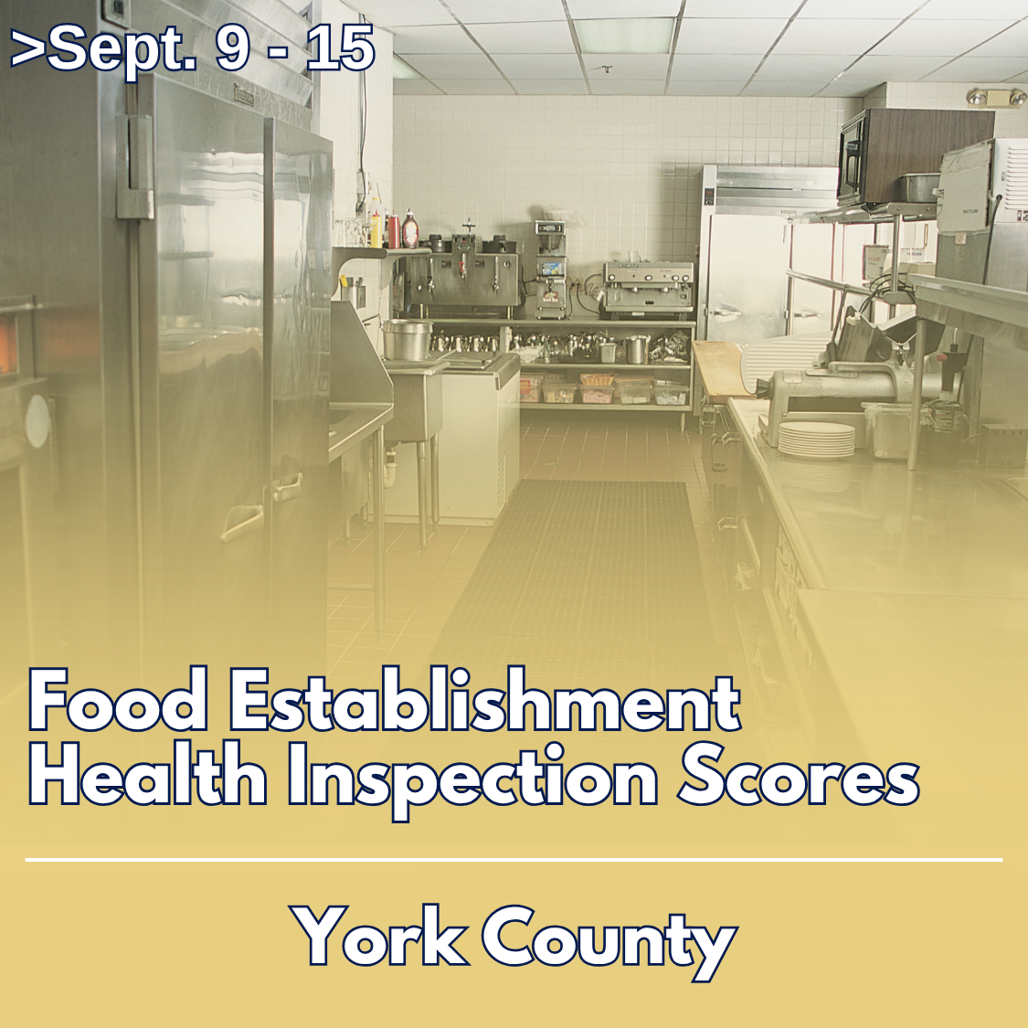 York County Restaurant Inspections: Lake Wylie Pizza York Receives B Grade.