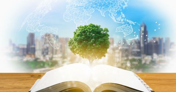 Best Islamic Universities To Get An Online Degree
