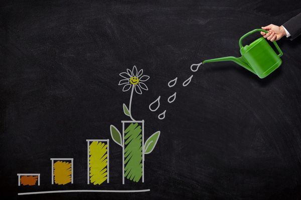 The Significance of Halal Investing