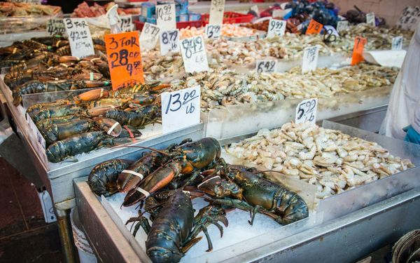 Shellfish in Islam: Complete Hanafi, Maliki, Shafi'i & Hanbali Guide