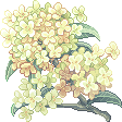 鍵俠芯芯子
