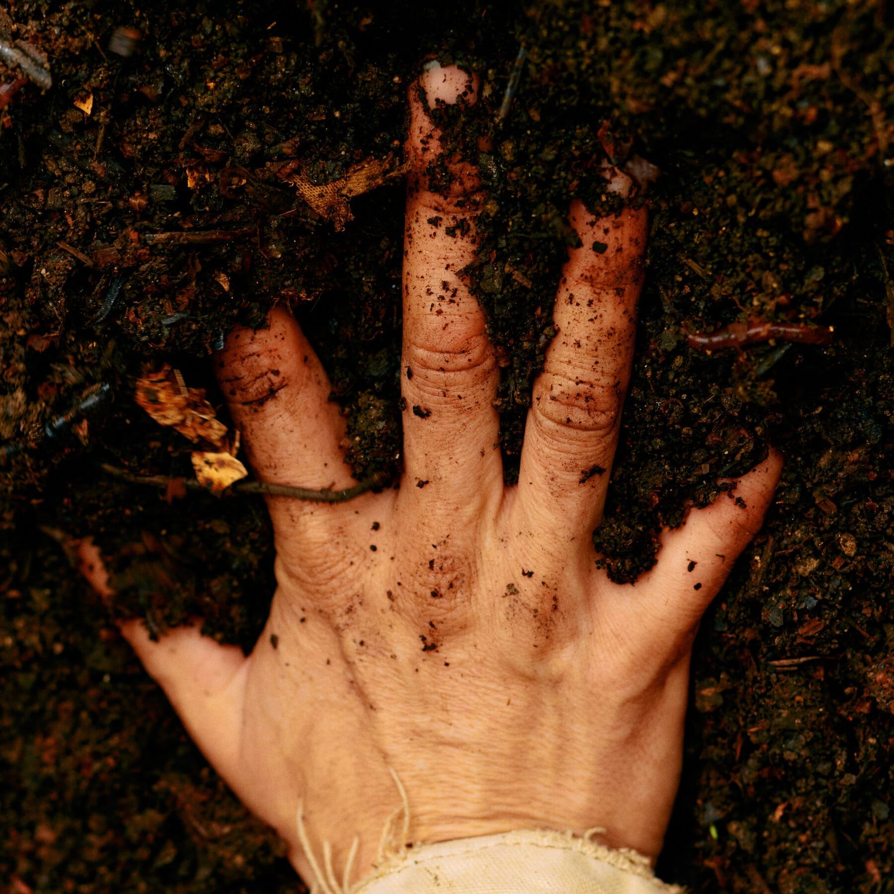 Beyond the Economic Fairy Tale: How to Step Out of the Matrix and Return to the Dirt