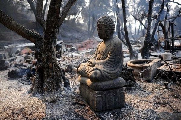 Regenerating Life: A 9-Week Practice Intensive