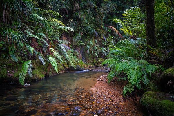 Ask me (William Stafford)