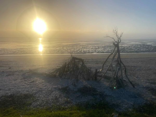 What is a Developmental Community? Why We Burn Our Own Wood