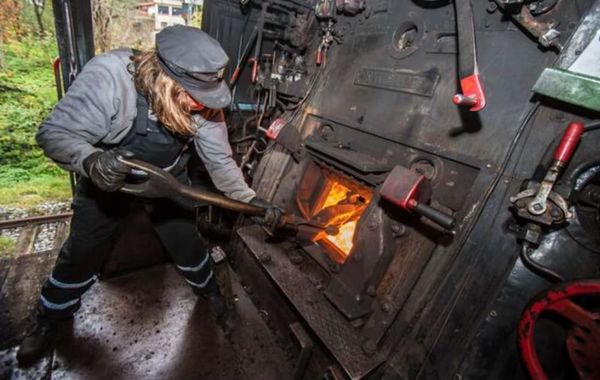 Campfire Technology: The Trap of the Expert and the Physics of the Fire