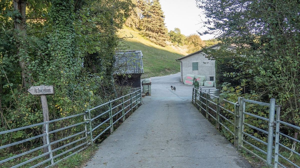 Symbolbild zum Thema leben aubonne wohnen herzen waadtlaender