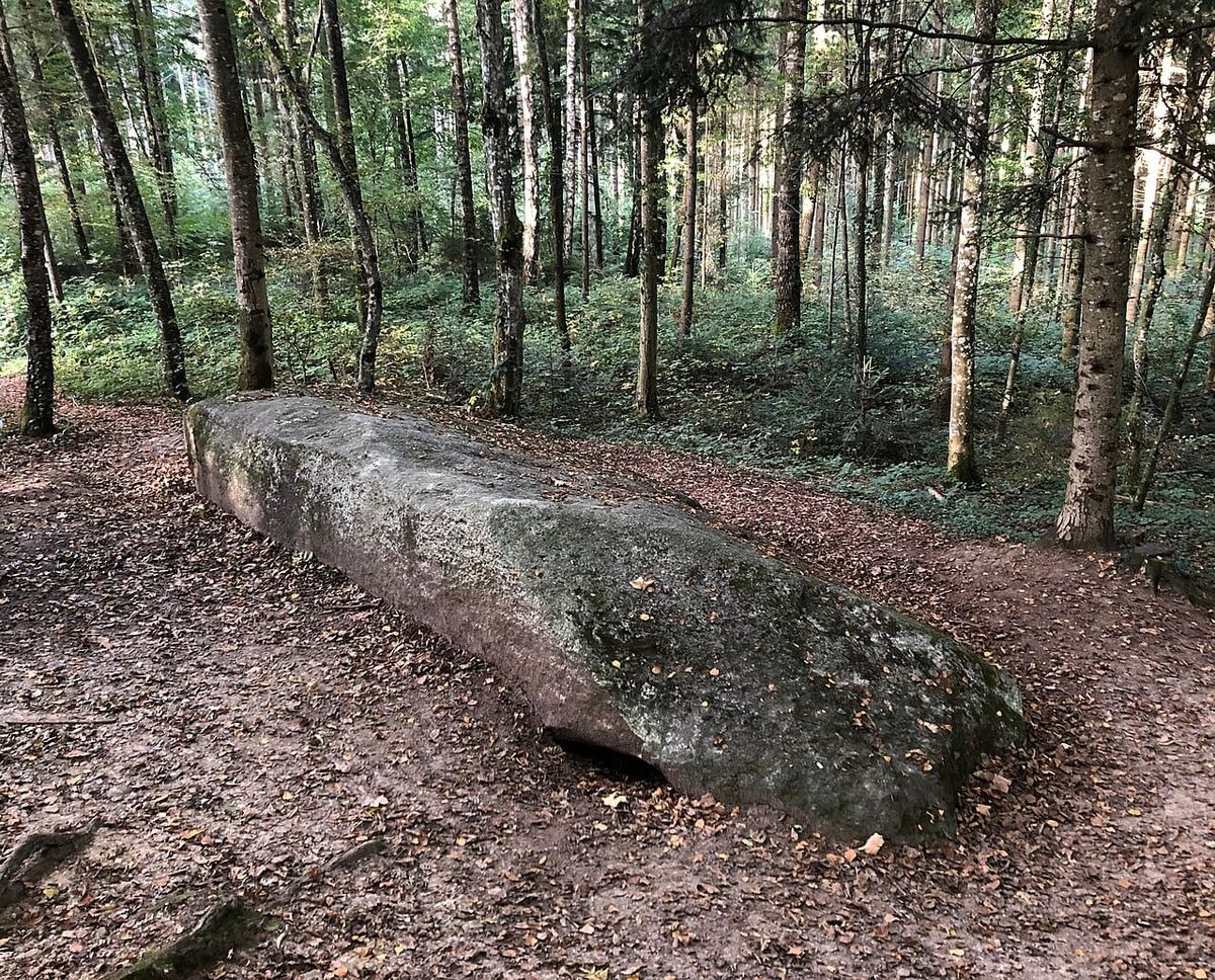 Wald bei Sarmenstorf im Kanton Aargau. Archivaufnahme.